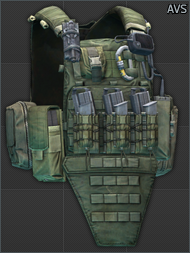Crye Precision AVS plate carrier (Ranger Green)