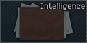 Intelligence folder