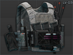 Spiritus Systems LV-119 Plate Carrier (Black Division V1)
